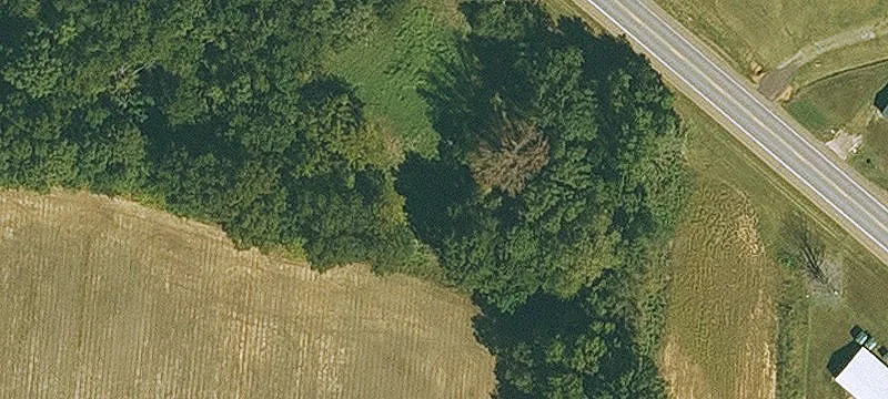 Hwy 49
