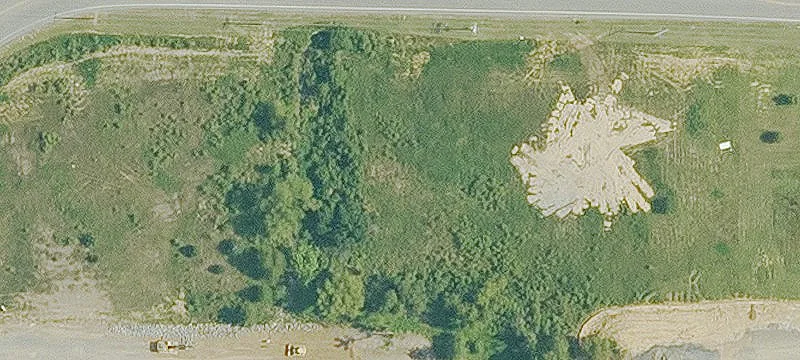 White Oak Xing