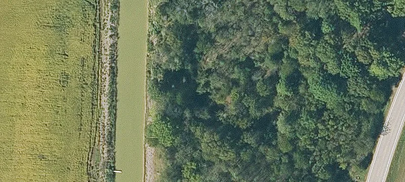 Brinkley, AR 72021