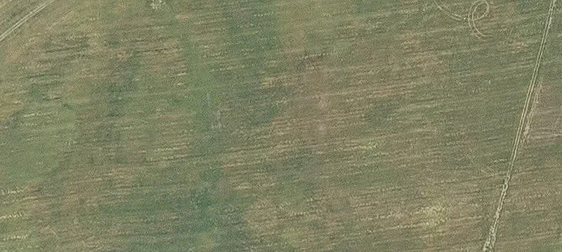 Marked Tree, AR 72365