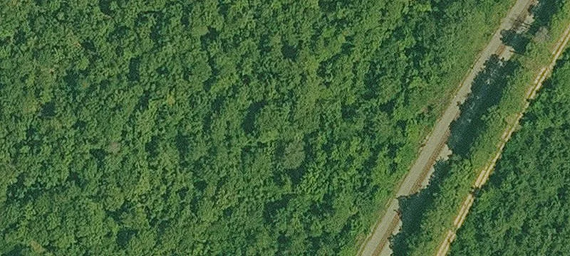 Bearden, AR 71720