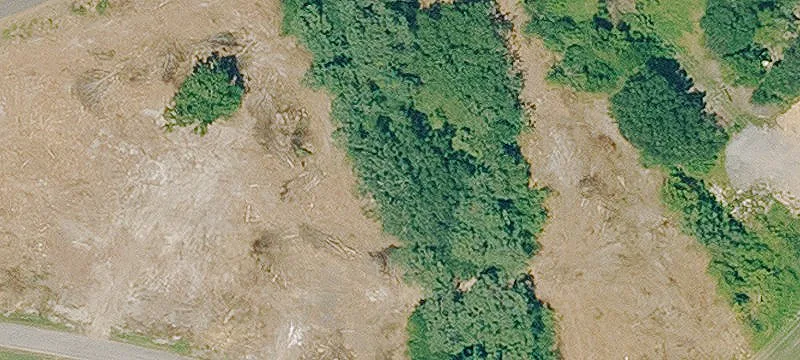 Ozan Dr