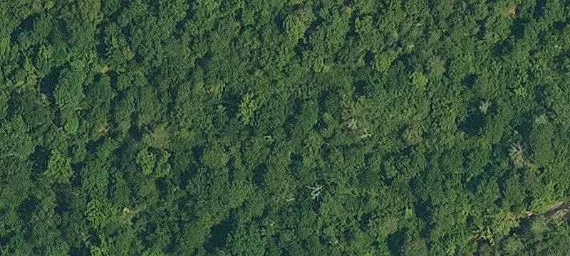 547 Cutoff Rd