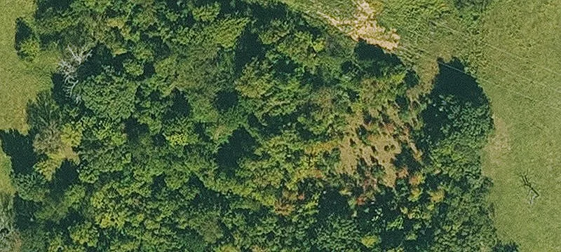 Marshall, AR 72650