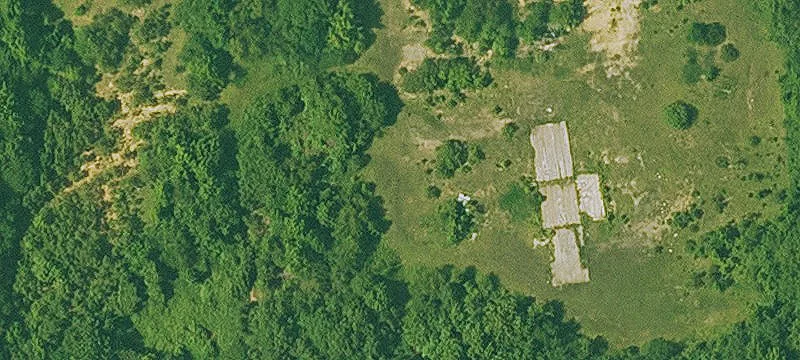 Cove, AR 71937