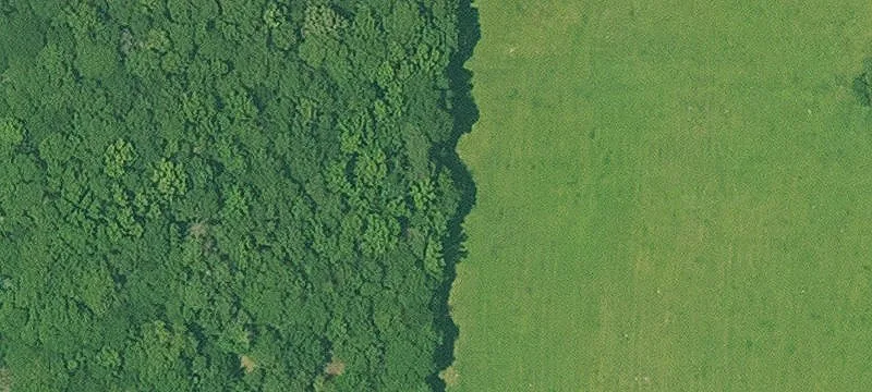 Cove, AR 71937