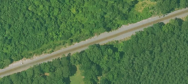 Cove, AR 71937