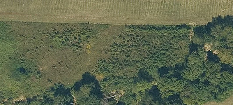 6263 Hwy 49th S