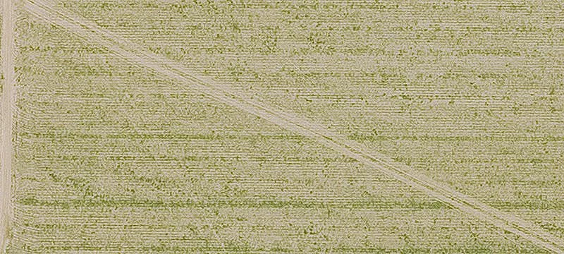 England, AR 72046