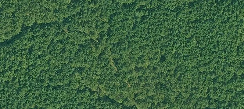 Jersey, AR 71651
