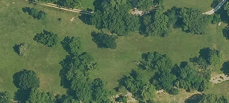 1000 Whitaker Ln
