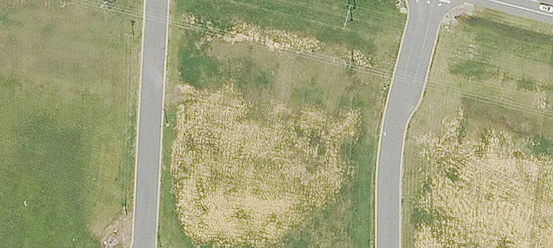 Searcy, AR 72143