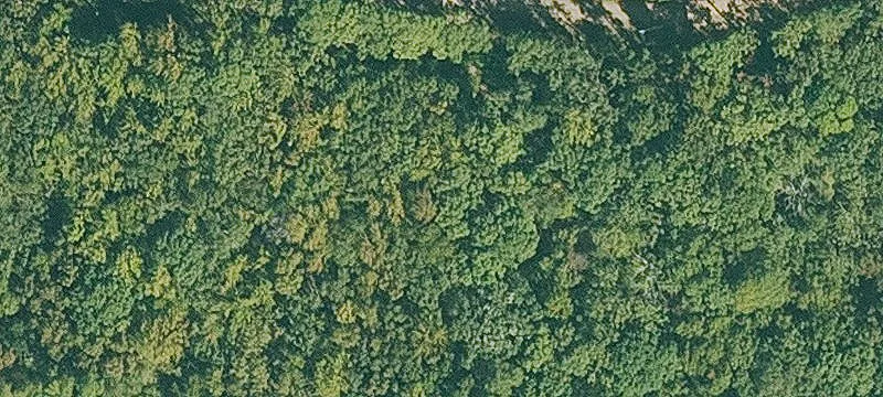 Ozark, AR 72949