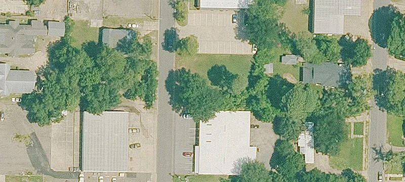 300 Pne Pine
