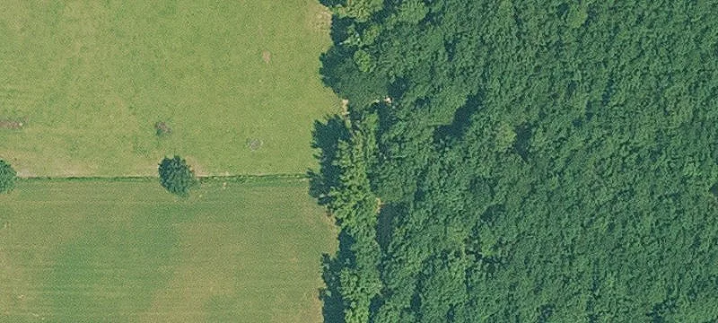 Emerson, AR 71740