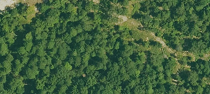 936 Glazypeau Rd