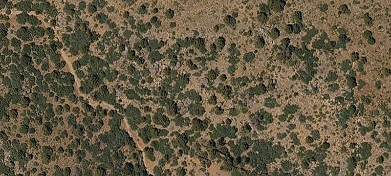 Kingman, AZ 86409