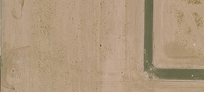 Mesa, AZ 85212