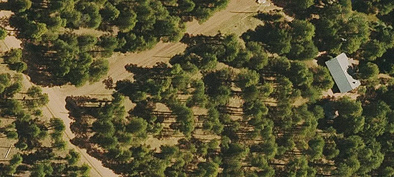 1960 Merryland Rd