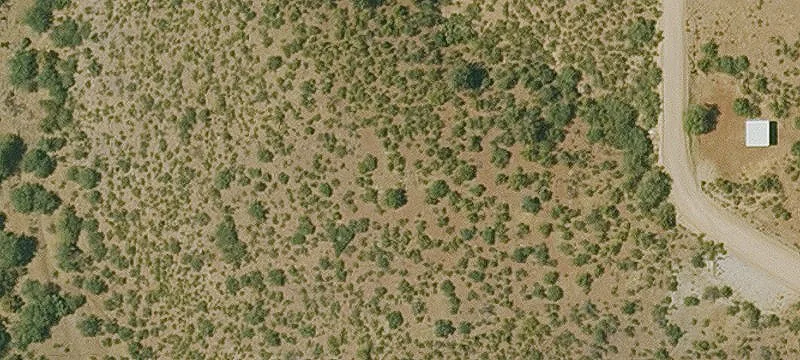 Globe, AZ 85501