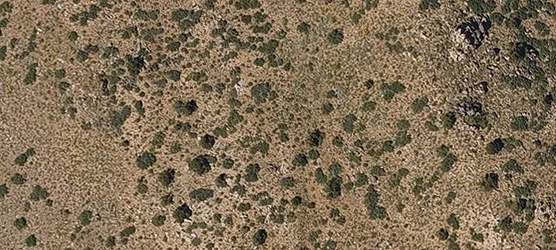 Kingman, AZ 86409