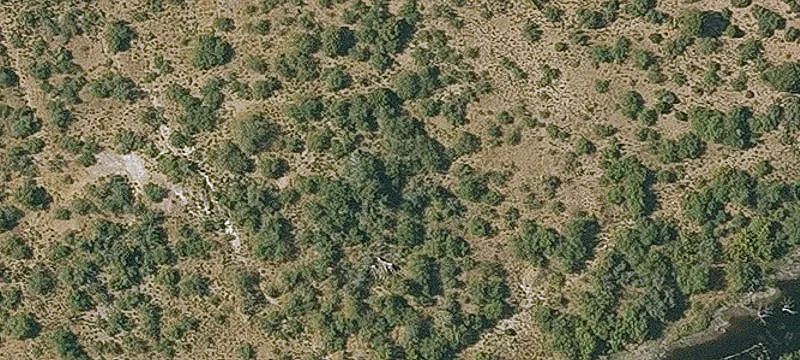 Miami, AZ 85539