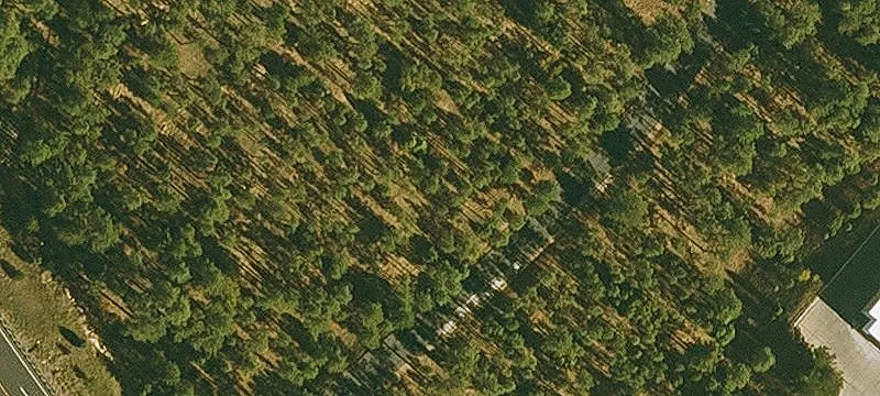 4101 White Mtn Rd