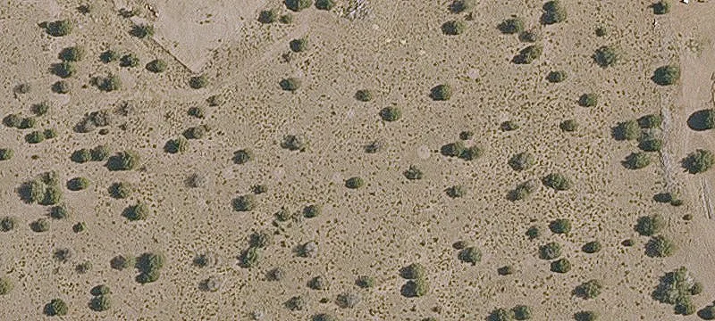 14477 Howard Mesa Loop