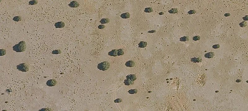 13980 Howard Mesa Loop