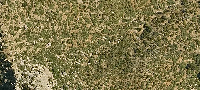 Kingman, AZ 86401