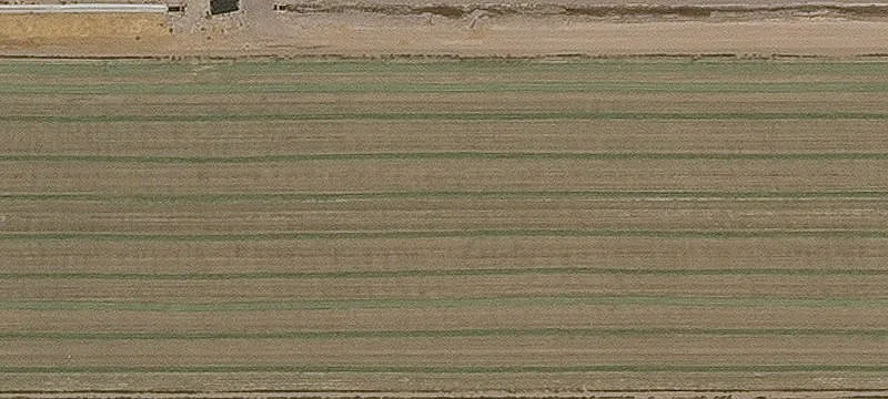 18813 Old Us Hwy 80