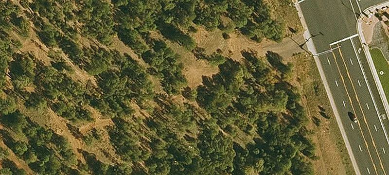 4950 White Mountain Rd