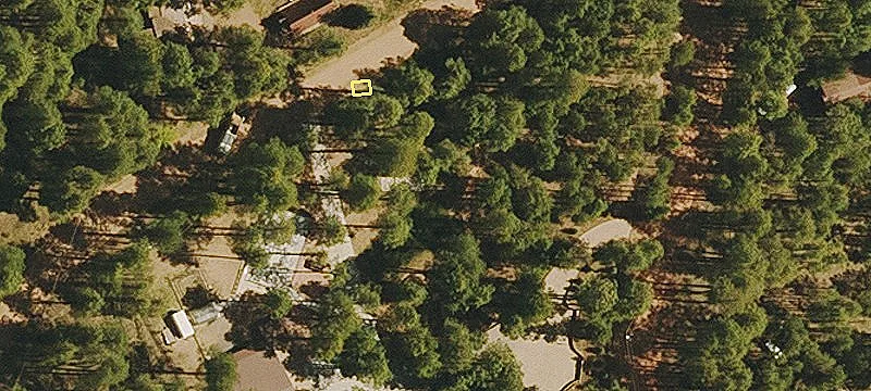 2544 Tall Trees Loop
