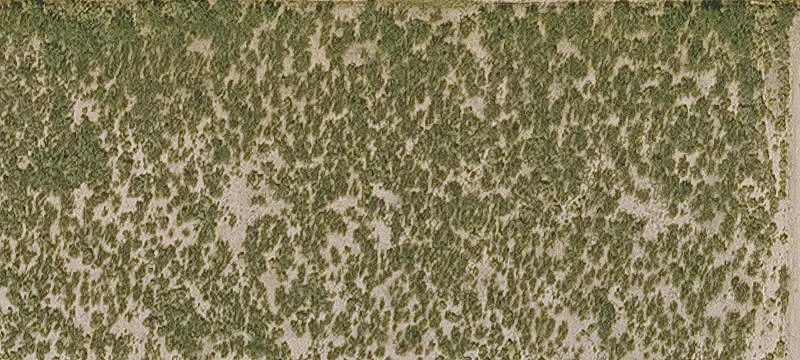 Cochise, AZ 85606