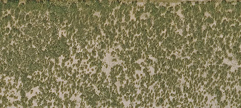 Cochise, AZ 85606