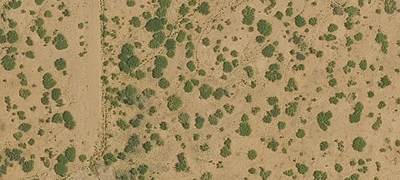 Willcox, AZ 85643