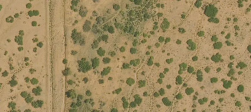 Willcox, AZ 85643
