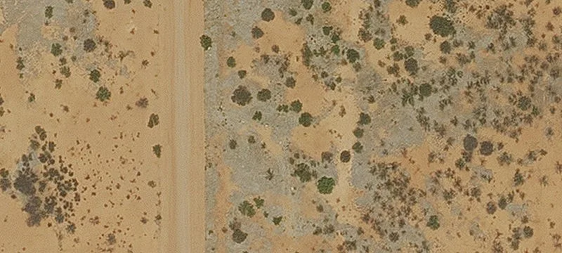 Douglas, AZ 85607