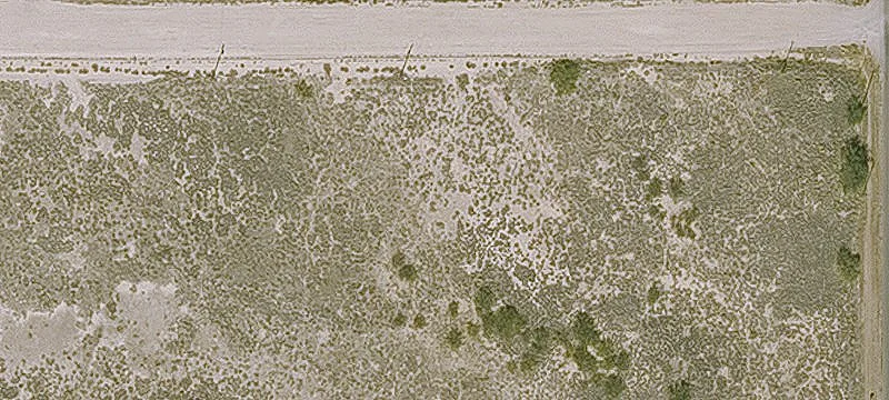 Willcox, AZ 85643