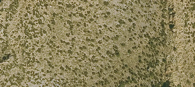 Willcox, AZ 85643