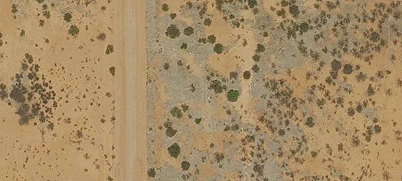 Douglas, AZ 85607