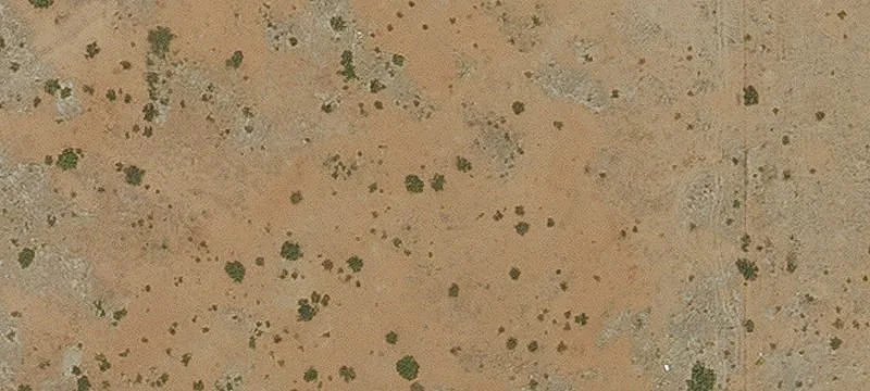 Douglas, AZ 85607