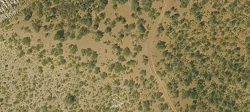 Globe, AZ 85501