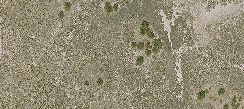 Willcox, AZ 85643