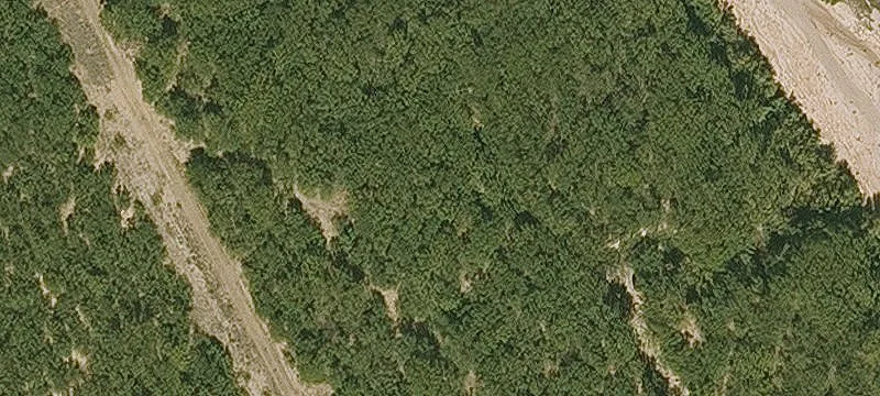 501 Grapevine Loop
