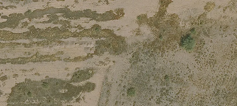 Glendale, AZ 85307