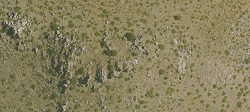 Willcox, AZ 85643