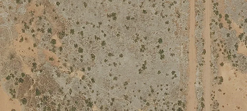 Douglas, AZ 85607