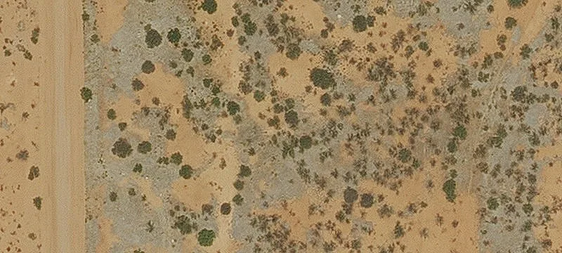 Douglas, AZ 85607