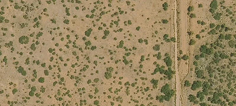 Willcox, AZ 85643